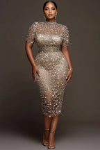 Xpluswear Design Plus Size Party Silver Mock Neck Short Sleeve See Through Sequin Midi Dresses