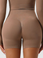 High Waist Tummy Control Seamless Shorts
