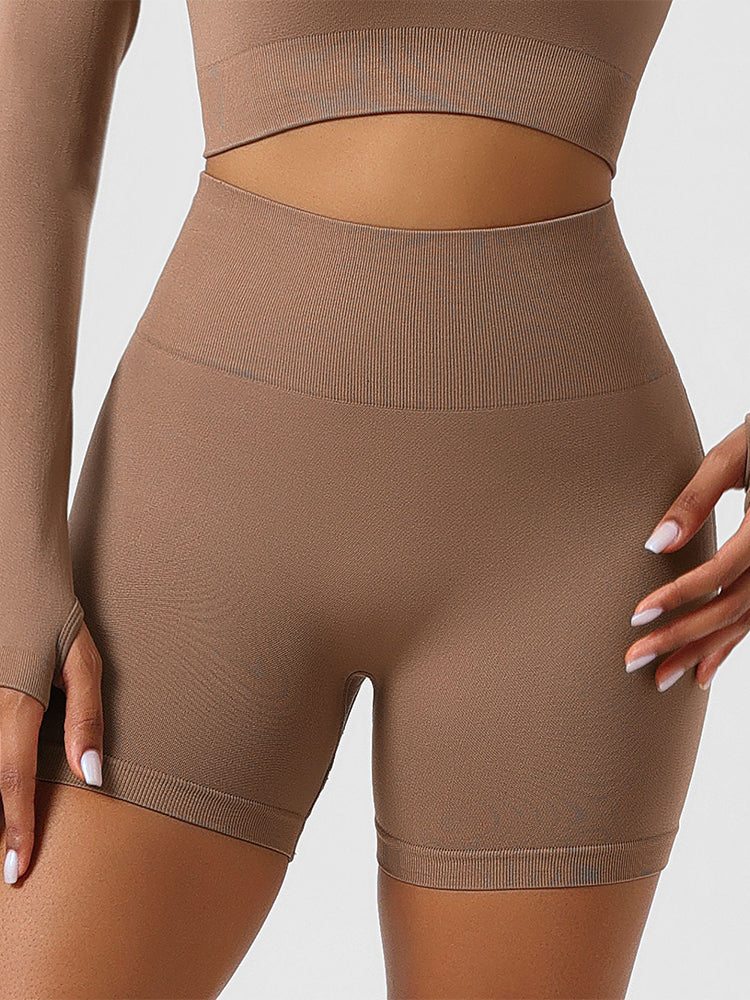 High Waist Tummy Control Seamless Shorts