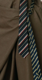 Executive Order Tie Overall